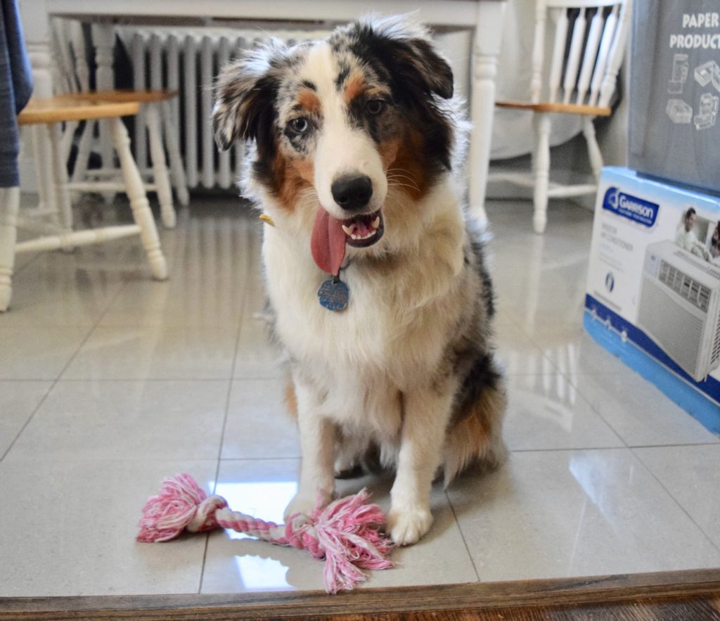 Isla sitting on floor