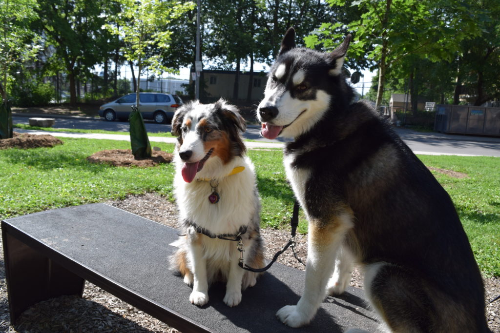 Harley and Isla sitting on a bench