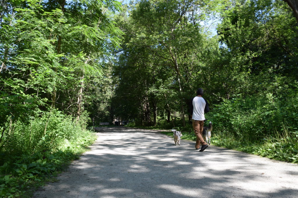 Matt and the dogs at the start of the trail