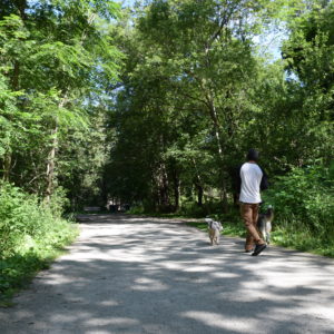 Matt and the dogs at the start of the trail