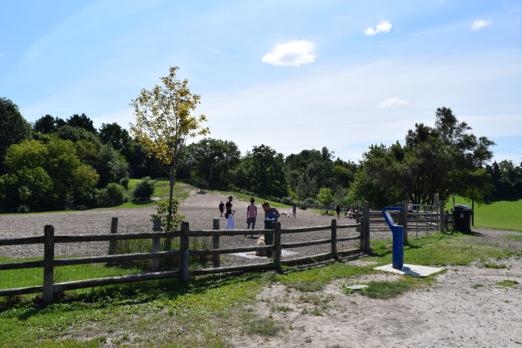 Cedarvale dog park West entrance