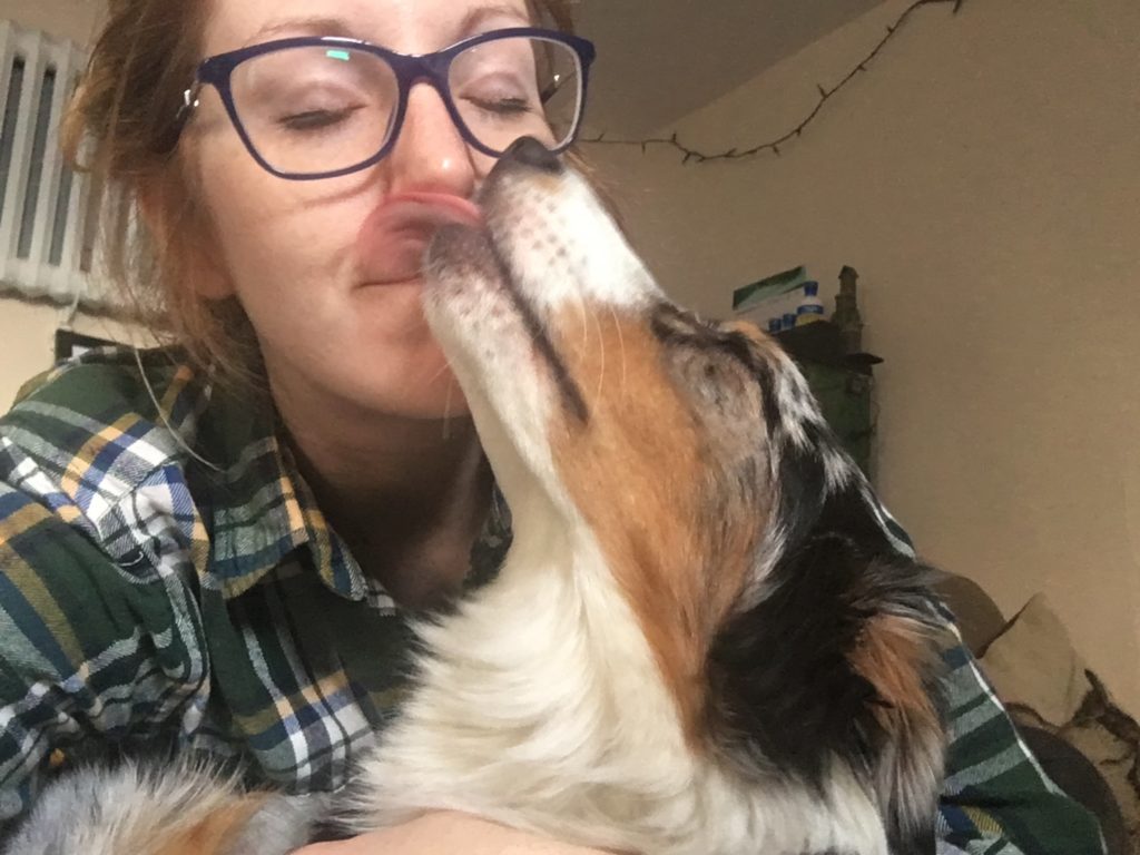 Dog licking person's face