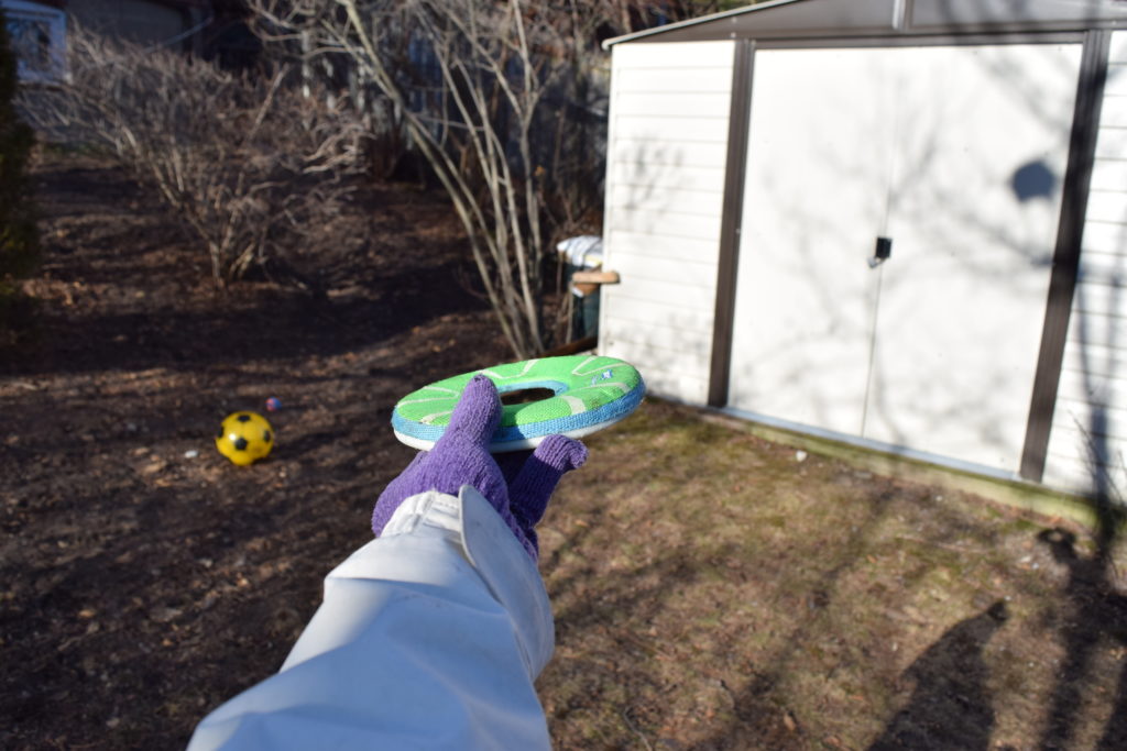 hand holding out frisbee