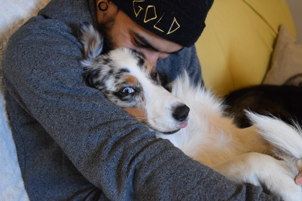 dog sitting in man's lap